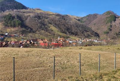 Vindem urgent 1035mp teren intravilan in Rau Sadului ,  SIBIU - 22