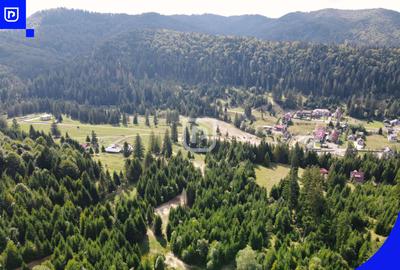 Teren - Voronet | Gura Humorului | BUCOVINA - 11