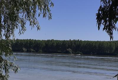 OCAZIE; teren MAHMUDIA 12euro/m.p. Suprafata 5000 m.p. Deschidere la Dunare 48m - 3