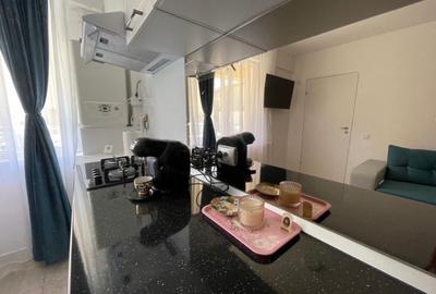 Studio cu gradina si parcare Popesti Leordeni - 4