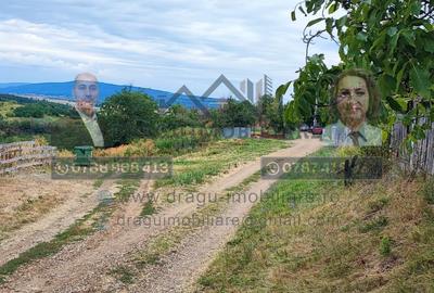 Teren generos 2186 mp cu casă bătrânească – Copăcești, județul Vrancea - 7