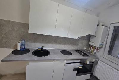 Pallady,Parcul Teilor,bl.2017,et.2/8,Amenajat,centrala,mobilat,PET FRIENDLY - 3