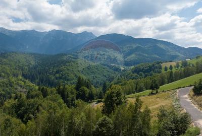 Teren Panoramic in Bran – Vedere spre Bucegi & Piatra Craiului - 9