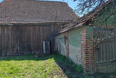Casa 3 camere libera la vanzare TARLUNGENI - 18