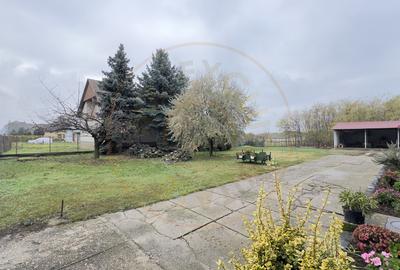 Casa 7 camere cu Teren 4.620 mp | Potential pentru rezidenta sau afacere | Carei - 2