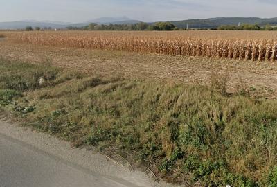 De vanzare teren industrial extravilan de 3.5  ha, în  Codlea zona Sud