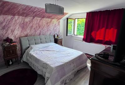 Casa Cartier Dealul cu Tei - 13