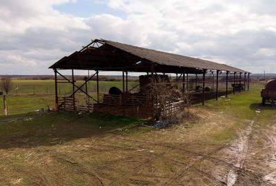 Fermă cu teren intravilan de 35000 mp în Mișca - 25