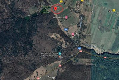 Teren 2.700 mp situat in sat Nemtisor, com.Vinatori Neamt, jud Neamt - 3