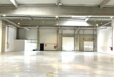 Hala industriala moderna – 1.162,05 mp depozit | Arad - 1