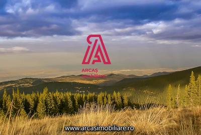Afacere la Cheie Hotel de vanzare Statiunea Paltinis! - 28