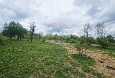 Teren 5,350mp Dobreni / Strada Manastirea Horaita - 14