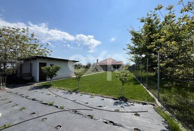 De vanzare casa parter teren generos in apropiere de padure Gradistea - 2