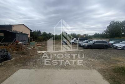 Casa în Dumbrăvița cu teren de 3039 mp și Front Stradal de 40 ml - 11