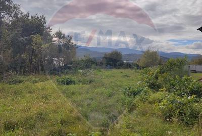 Teren 1,100mp Sighetu Marmatiei / Strada Primăverii - 2
