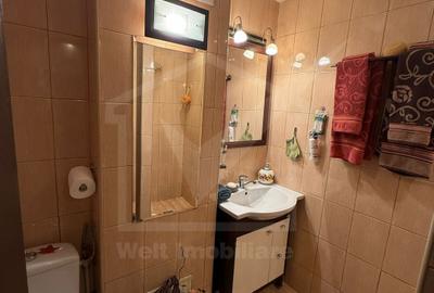 Apartament 2 camere Grigorescu, zona Somes - 8