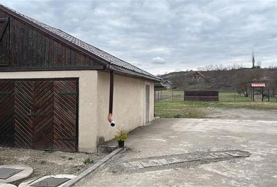 De vanzare spatiu comercial cu teren de 80 arii, Santioana, Jud Mures - 21