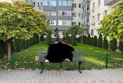 Comision 0% | Apartament 2 camere – BLOC NOU - Bd. Metalurgiei / Drumul Binelui - 7