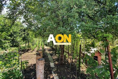 Casa cu 4 camere, garaj, teren 791 mp, zona Schit - 3