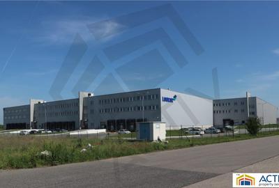 Inchiriere hala Timișoara in cadrul Logicor - 1