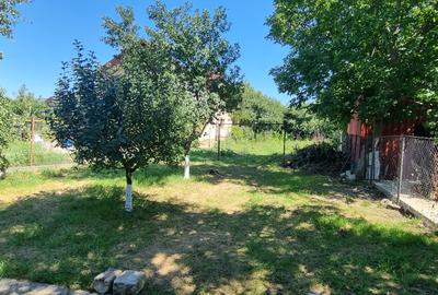 Casa cu etaj si 890mp teren zona Drumul Tatarilor - 10