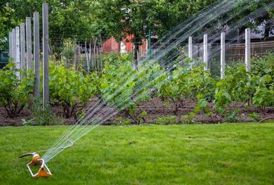 Casa noua 2 nivele cu 889 mp teren, drumul Taberei, Bucuresti - 8