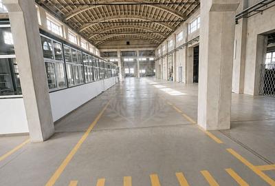 HALA  PRODUCTIE 3500MP//ZONA BEREASCA - 2