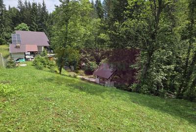 Vila din padure in Valea Doftanei - 43