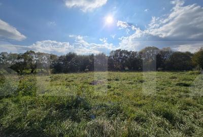 Teren agricol intravilan de 1200 mp, în Sălicea