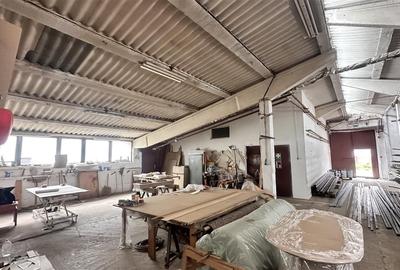Hale industriale Teliu - 145000e  200.000e  450000e - 7