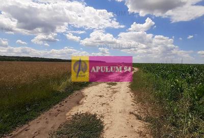 Teren 715mp în Snagov lângă Equestria - 28