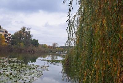 OAZA DE LINISTE SI RAFINAMENT LA MALUL LACULUI - 8
