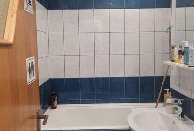 Apartament 2 camere de vanzare Gorjului - 13
