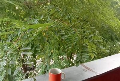 Apartament LUX , Mures-Miloia - 6