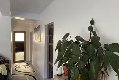 Casa Feleacu aproape de natura - 2