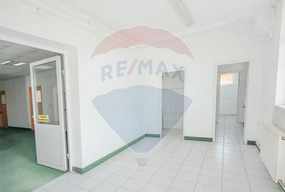 De vânzare Spațiu industrial de 10 129 mp, Șoseaua Borșului - 19