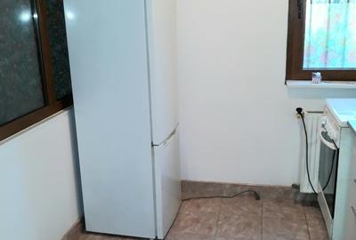 Colentina Rau, Mc Donalds, Mr. Bacila, Parc Plumbuita, stradal - 12