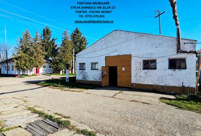 Complex imobiliar format din cladiri si constructii industriale+teren intravilan - 2