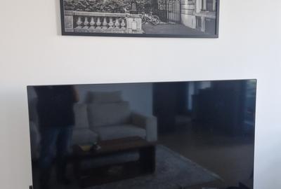 Oferta excelenta: Penthouse Premium cu Vedere către Râul Bega - 3