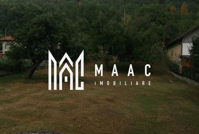 Teren Intravilan 10.000 mp | Livadă + Pădure de salcâm | Bărbătești - 2