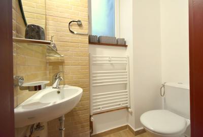 Apartament cu 3 camere in zona Ultracentrala - Piata Victoriei - 20