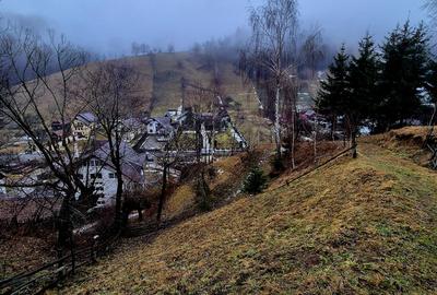 Teren intravilan Simon/Bran, 4318 mp , casuta intabulata, utilitati - 30