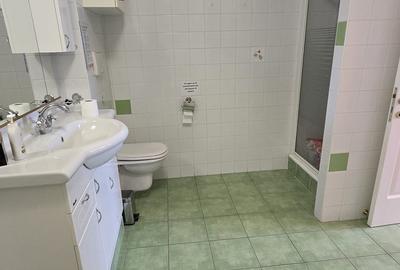 Pta Victoriei Inchiriez spatiu comercial Vila stradal 190 mp curte propie - 5