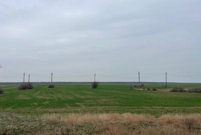 Giurgiu-Marsa Teren Agricol 8.5 Ha - 4