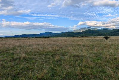 Teren rezidential RASNOV - Glajerie - 6