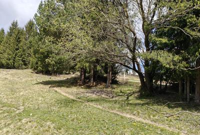 Teren intravilan, 3040 mp, Dealu Botii, com Belis, Comision 0 - 4