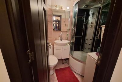 Drumul Taberei - Raul Doamnei - Apartament 2 camere -  Modern - 16