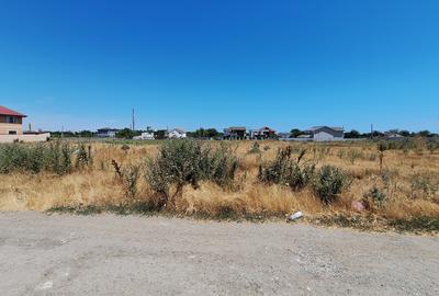 Teren de vanzare in Constanta, Km 5 - 957 mp - 4