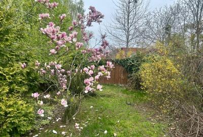 Vilă în Bârnova 260 mp utili, teren 1030 mp D+P+E+M, complet mobilată și LIBERA - 4