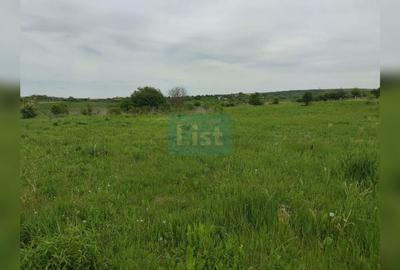 Comision 0%! Oportunitate, teren intravilan, 800 mp Masterplan, Sopor - 4